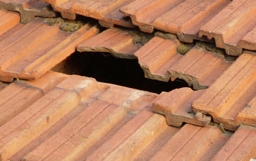 roof repair Tillietudlem, South Lanarkshire